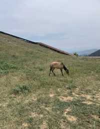 這裡不是新疆也不是武功山 這裡是河南鄭州伏羲山