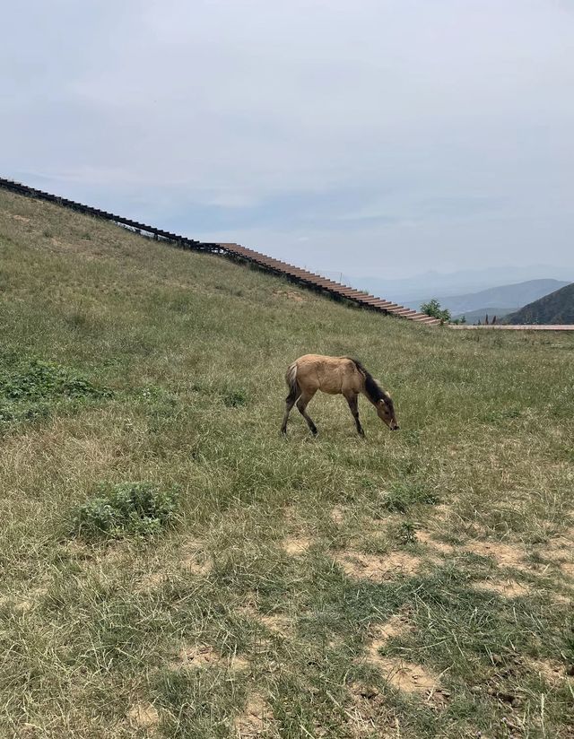 這裡不是新疆也不是武功山 這裡是河南鄭州伏羲山