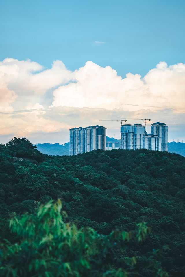 廣州拍照·隱藏在黃埔的小眾公園，適合散步吸氧！