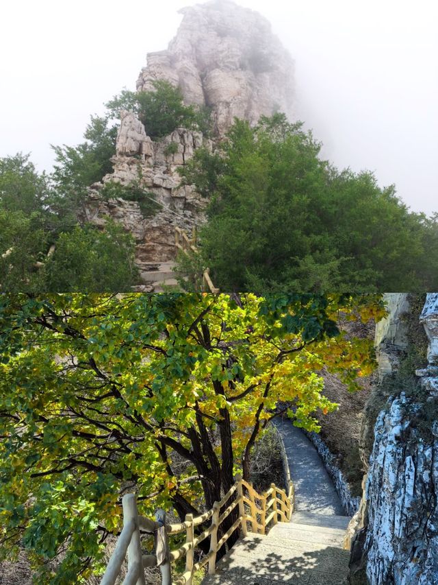 河北白石山景區位於河北省保定市淶源縣白石山鎮豐涼溝村。