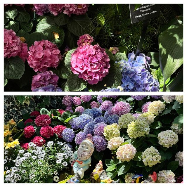芝加哥的寶藏：林肯動植物園。