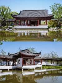上海秋日限定寶藏公園粉黛子花海路線攻略。