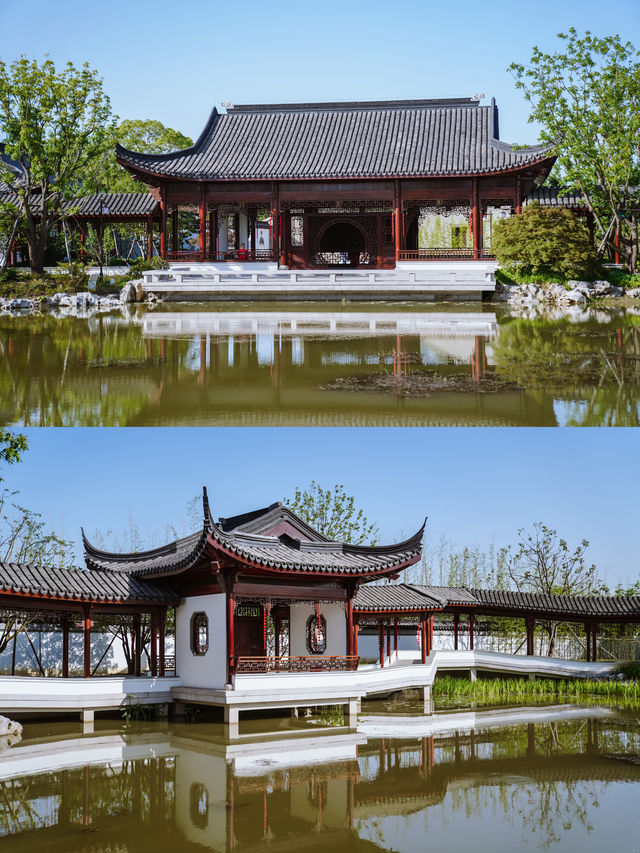 上海秋日限定寶藏公園粉黛子花海路線攻略。