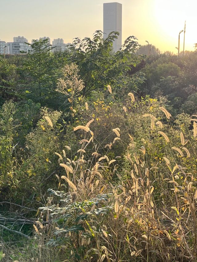 漯河沙澧河風景區。