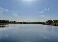面積最大的塔里木胡楊林公園。