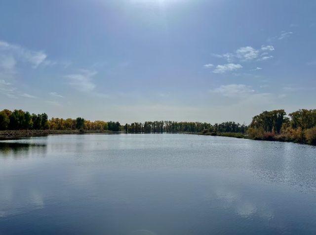 面積最大的塔里木胡楊林公園。