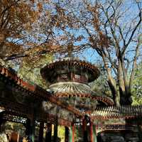 Enjoying the fresh Autumn air at The Summer Palace 🏯