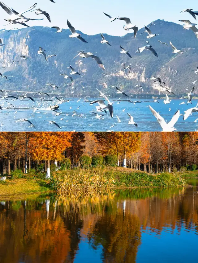 Kunming is a seriously underrated city that is definitely worth recommending to everyone.