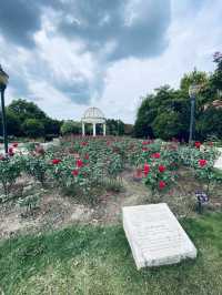 江蘇·太倉思鈿月季公園/月季夫人蔣恩細紀念館。