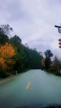 青木川古鎮難道是最適合慢生活的地方嗎。
