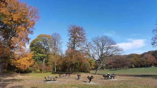 Autumn in a fairy tale! New York · Prospect Park!! 