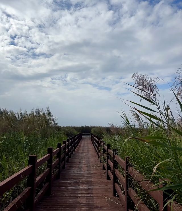 秋韻馬踏湖：金風玉露中的美食與盛景。