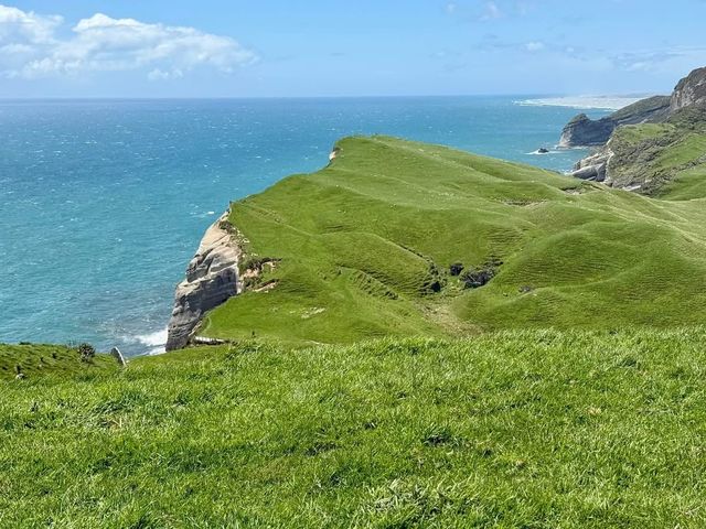 探索新西蘭南島的隱秘角落——Cape Farewell。