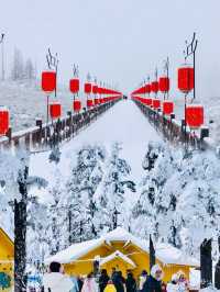 成都周邊｜南方小土豆在瓦屋山看雪，美爆了。