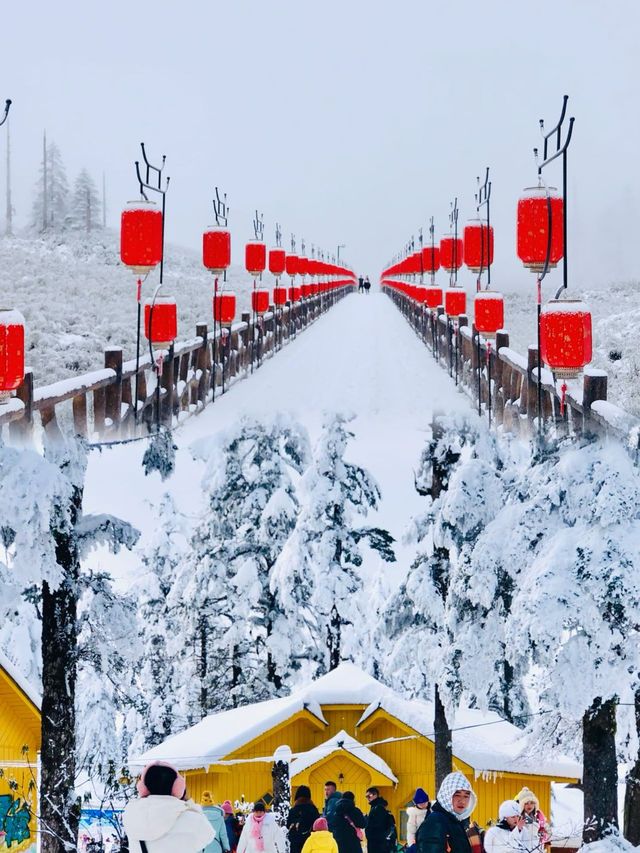 成都周邊｜南方小土豆在瓦屋山看雪，美爆了。