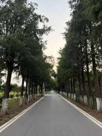 雲圖．淀山湖民宿