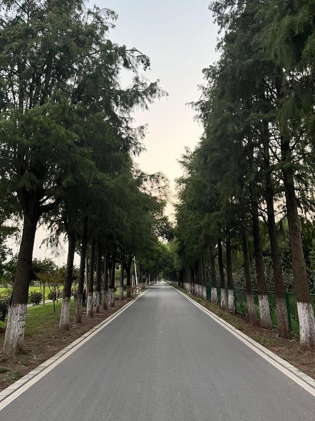 雲圖．淀山湖民宿