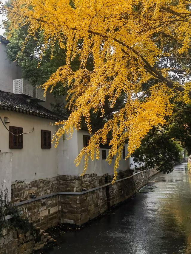 江蘇省蘇州姑蘇區街景