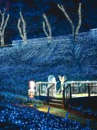 Childhood Memories: The Largest Doraemon Symphony Light Show in Kanto