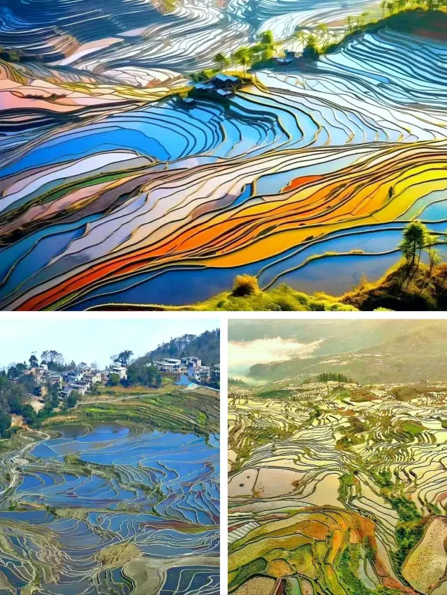 윈난 1-2월 색다른 여행법, 다녀오고 나서 떠나는 것을 추천합니다