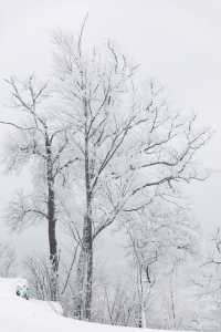 冬季到長白山展開冰雪夢幻之旅