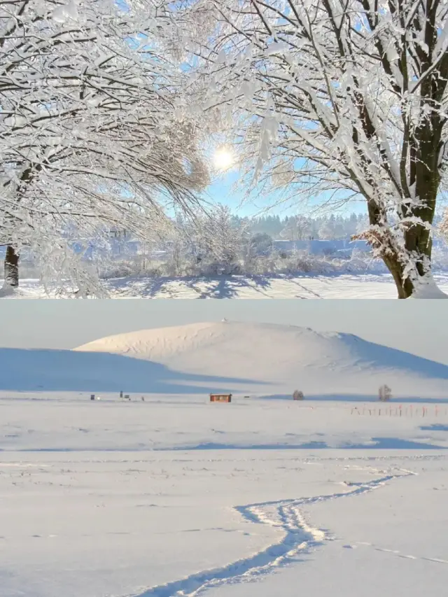放棄冰雪大世界，推薦一個被嚴重低估的遛娃好去處