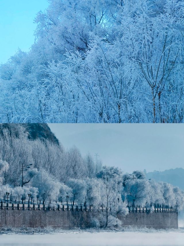 吉林的這條路線，滿足了我對冬天的全部想像