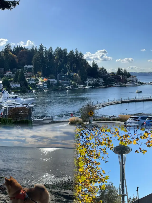 The ultimate guide to Cambridge, Massachusetts! Don't miss these hidden gems!