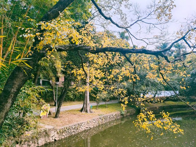 廣州麓湖公園