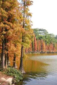 佛山三水森林公園