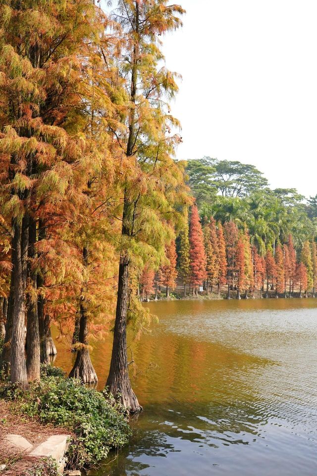 佛山三水森林公園