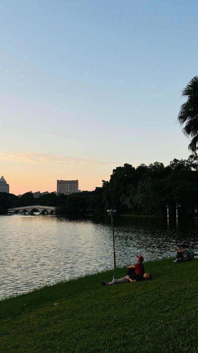 江門東湖公園 | 城市綠肺的詩意漫遊攻略