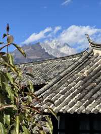 來麗江，住這樣的民宿，反正我滿足了