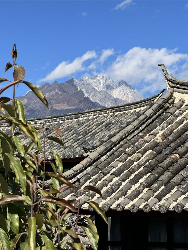 來麗江，住這樣的民宿，反正我滿足了