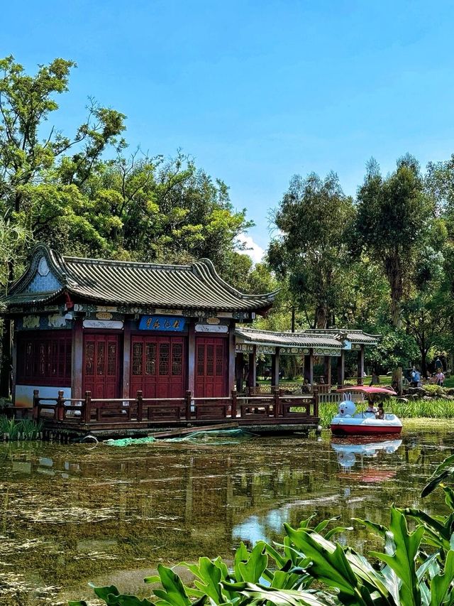 周末划水好去處·西華園西華園