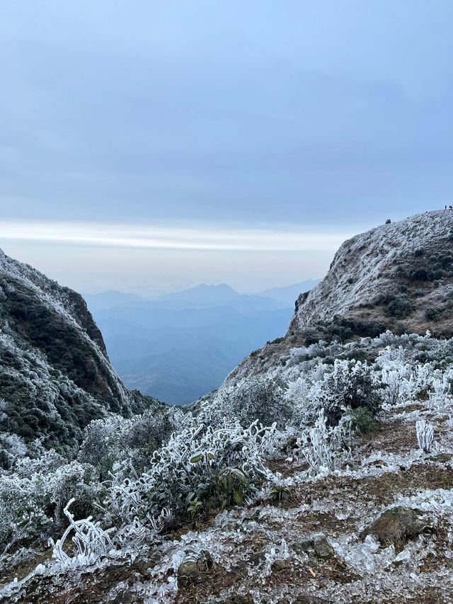 廣西貴港平天山|廣西阿勒泰
