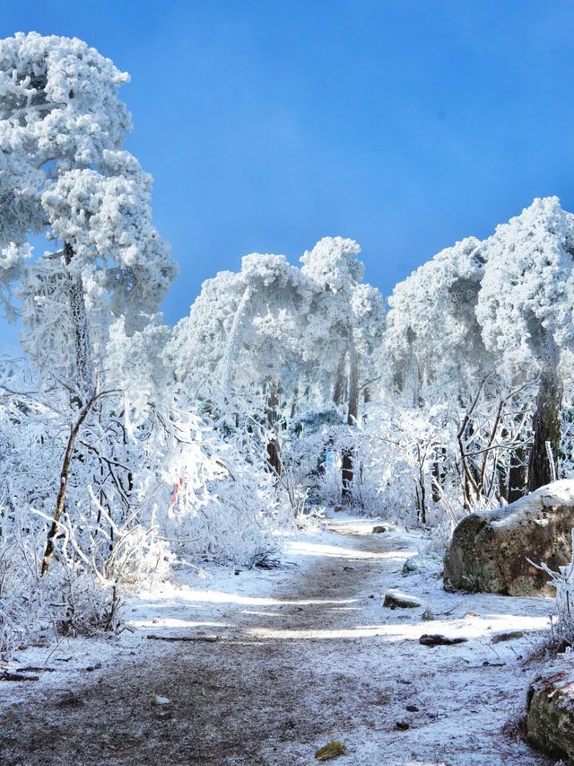 冰雪仙境中徒步，江浙滬賞雪不容錯過