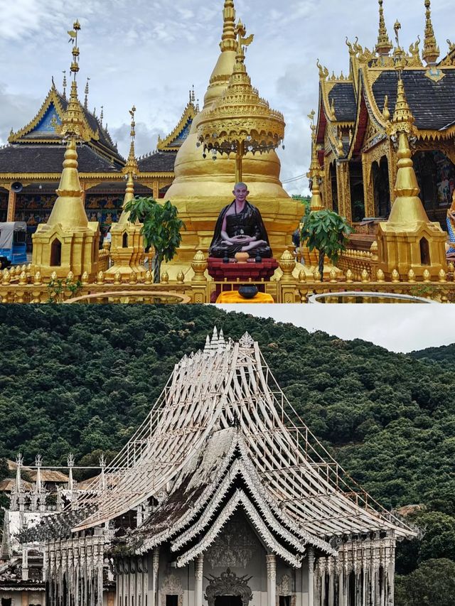 走一走勐海