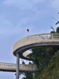 龍泉山城市森林公園｜城市綠肺，自然瑰寶