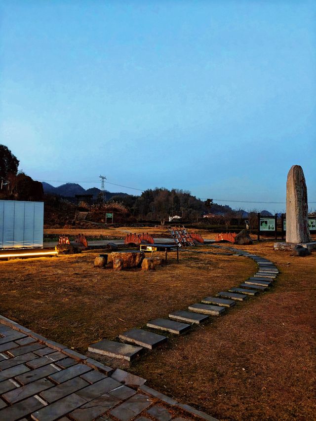 官庄·辰龍關‖一大片寧靜怡人的茶園基地