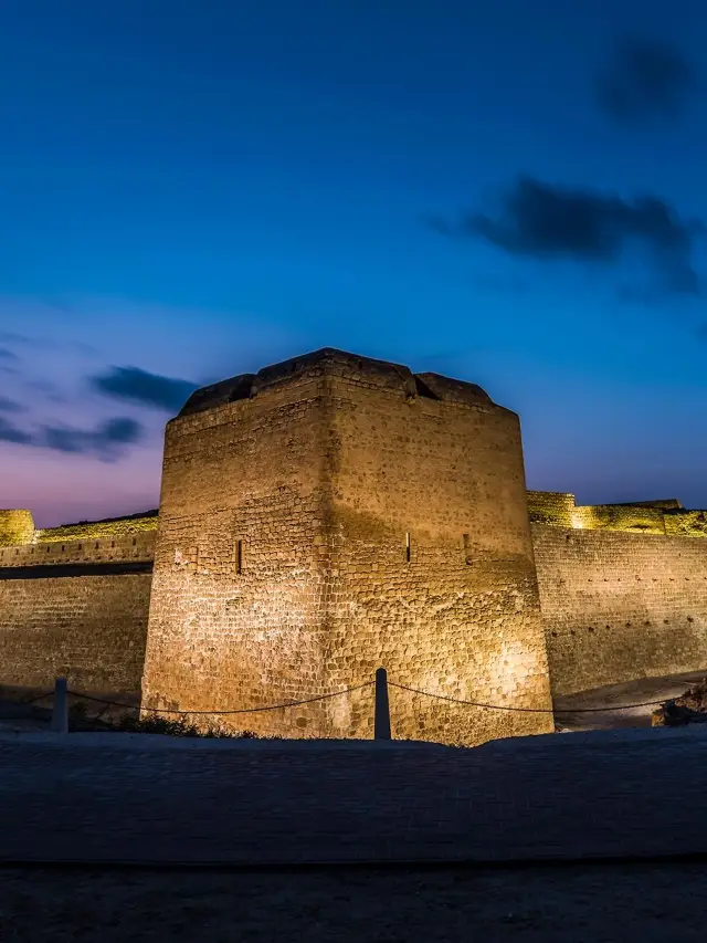 15日間のオマーンなど複数国を巡る家族旅行 子供と一緒に楽しむ旅