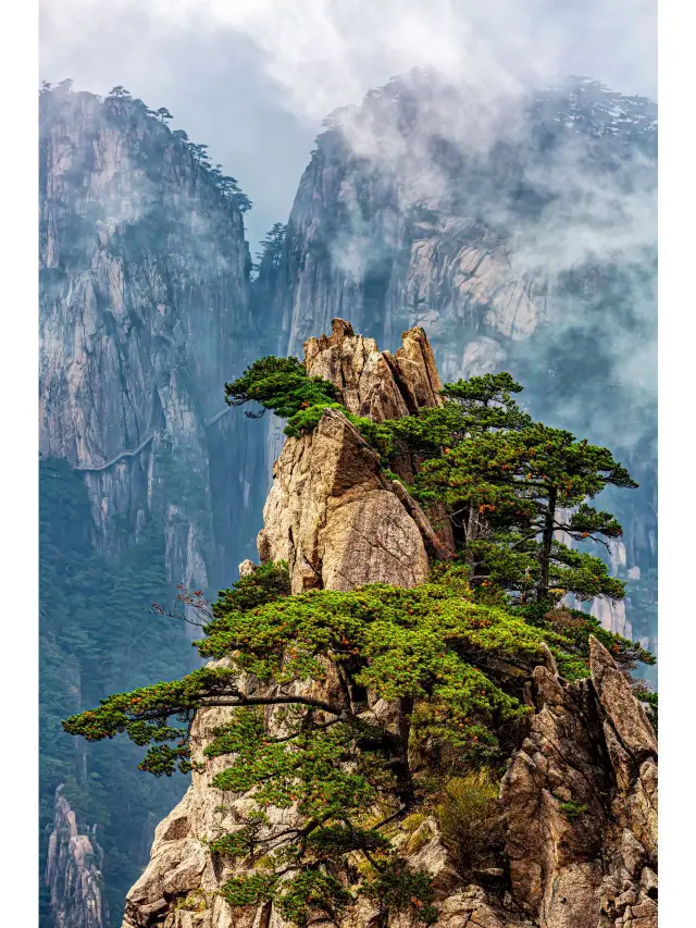 黃山Citywalk｜探索仙境之旅