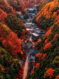 韓國清州旅行日記