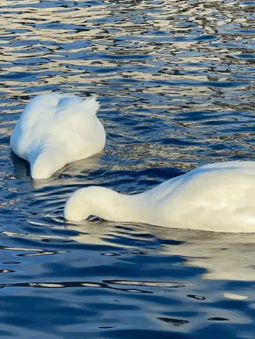 Nordic Tour | Take Your Kids to Experience Real Hot Springs