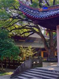 【阿育王寺】探秘寧波的佛教聖地，感受千年古剎的魅力！
