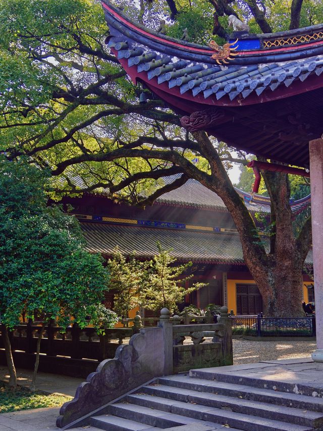 【阿育王寺】探秘寧波的佛教聖地，感受千年古剎的魅力！