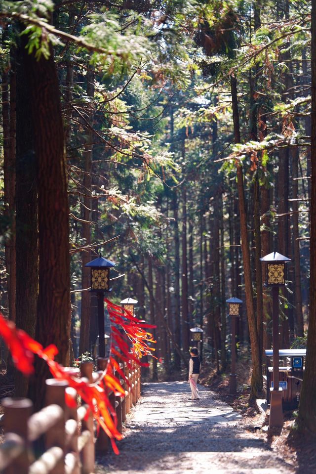 寒假旅遊丨李白都讚嘆的天姥山怎能錯過！！