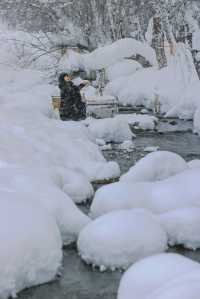新疆禾木｜落雪成詩，芳華盡收
