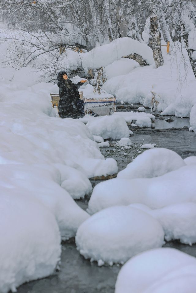 新疆禾木｜落雪成詩，芳華盡收