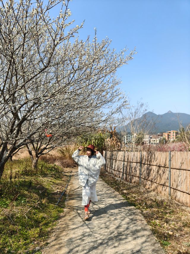 廣州絕美古村落！竹林、美食、徒步天堂！